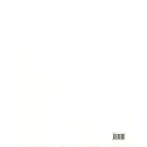 Flute Album 2 - 12 well known pieces