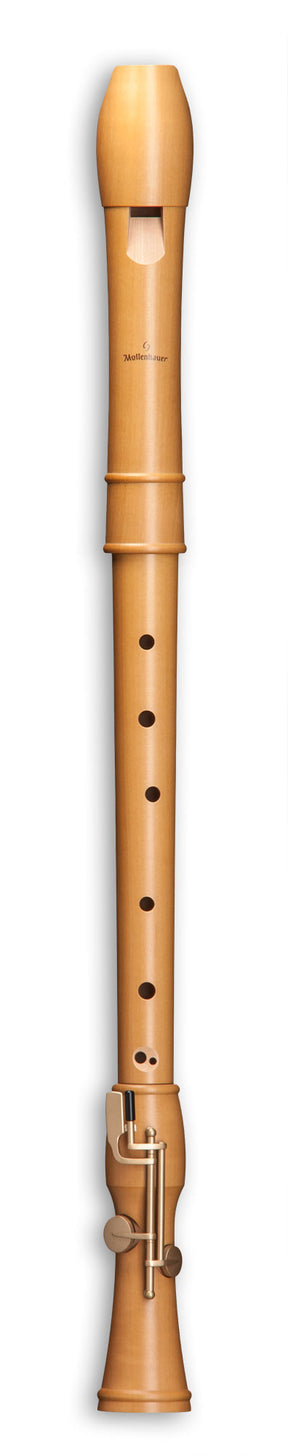 CANTA 2446 Tenor Doppelklappe