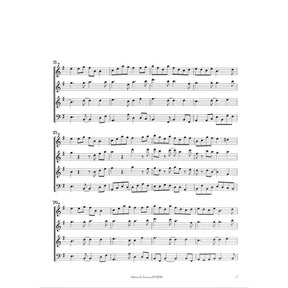 The whistling flautist