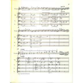 Konzert D-Dur op 77