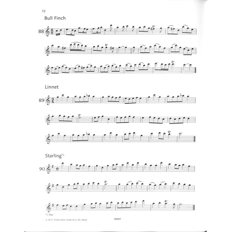 Altblockflöten Solobuch