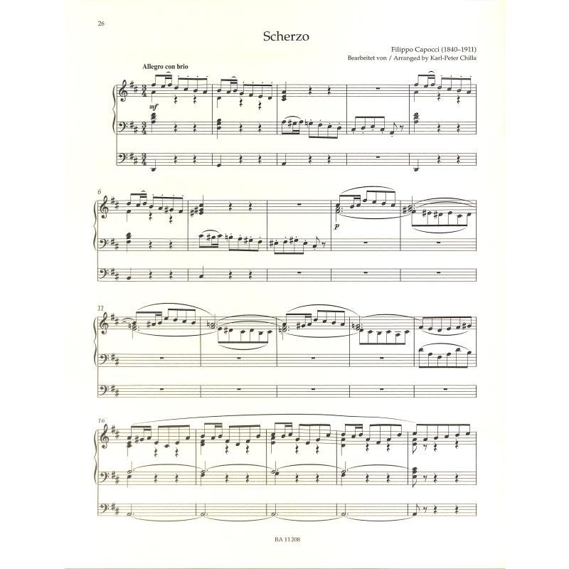 Enjoy the organ 2