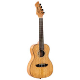 RUMG Konzert Ukulele