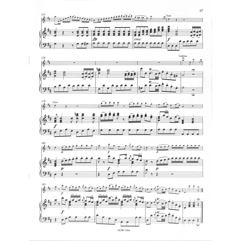 Konzert 2 D-Dur KV 314 (285d)