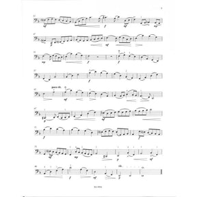 Concertino h-moll op 35