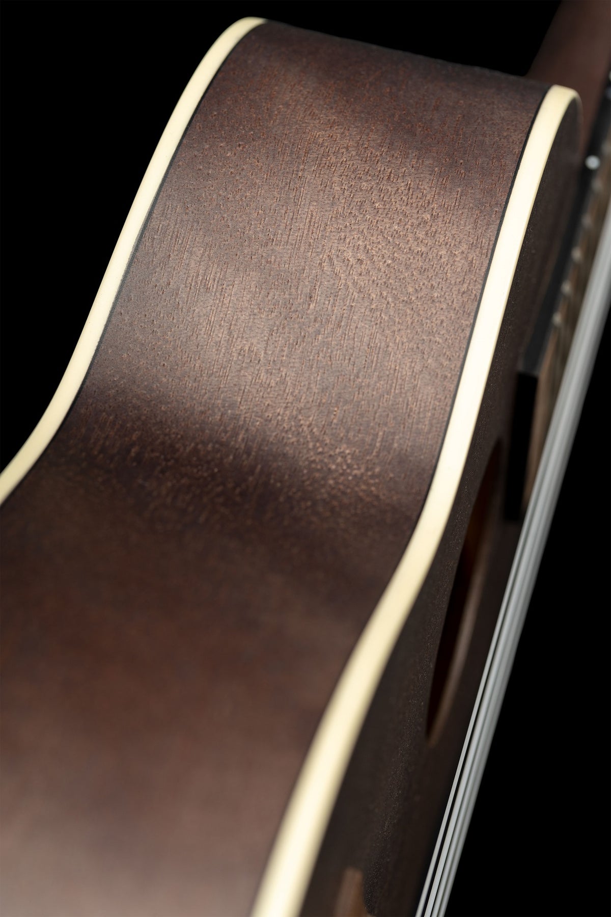 RUCOAL Konzert Ukulele