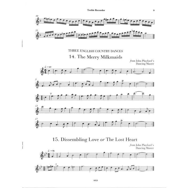 Renaissance recorder