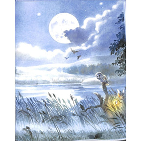 Die Mondscheinsonate | Sonate 14 cis-moll op 27/2 (Mondschei