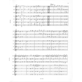 Concerto grosso g-moll op 6/8