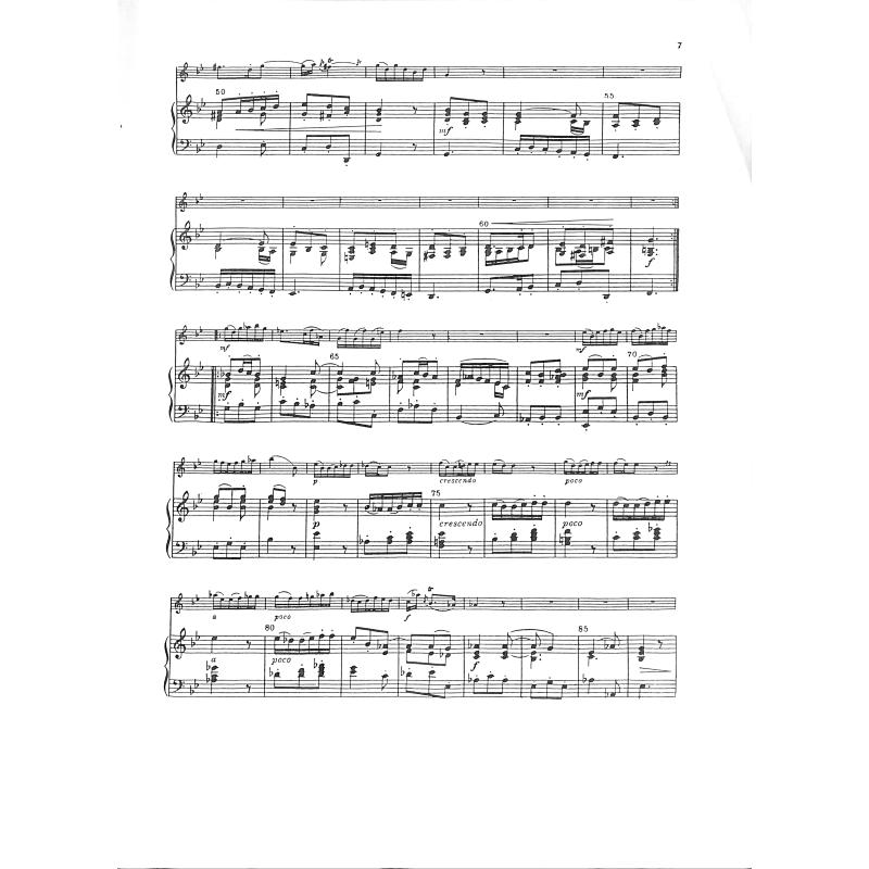 Konzert c-moll