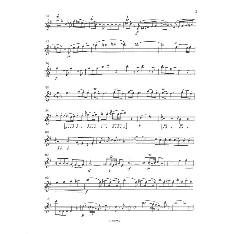 Eine kleine Nachtmusik G-Dur KV 525 - Serenade