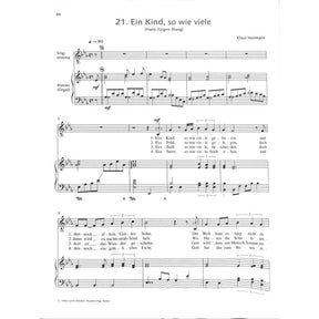 Ein Stern strahlt in der dunklen Nacht