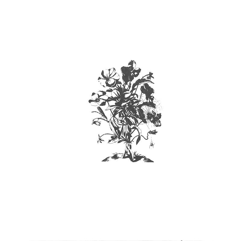 Terpsichore - Tänze der Barockzeit