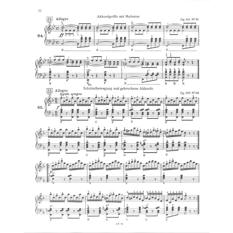 Der strebsame Akkordeonist 1