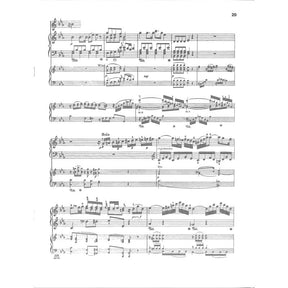 Konzert 24 c-moll KV 491