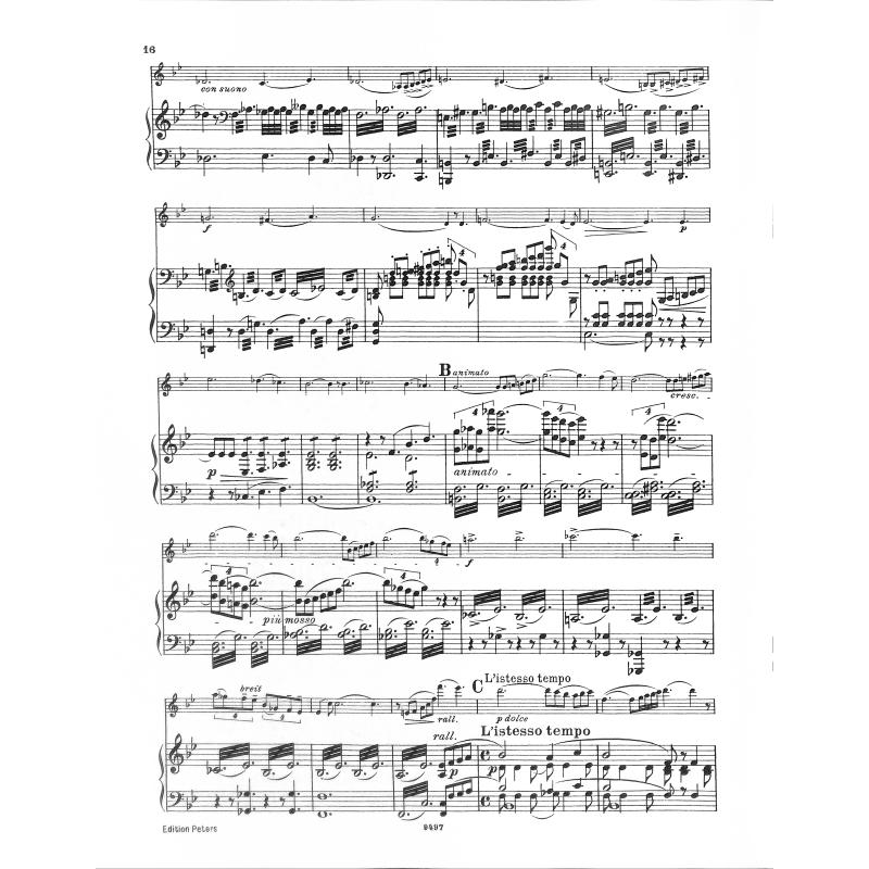 Konzert 2 d-moll op 22