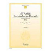 Dorfschwalben aus Österreich op 164