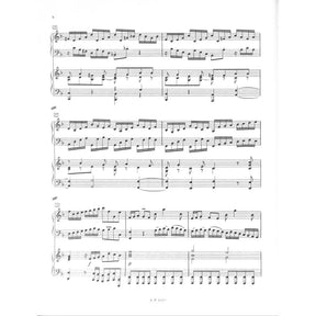 Konzert 1 d-moll BWV 1052