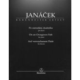 Auf verwachsenem Pfade