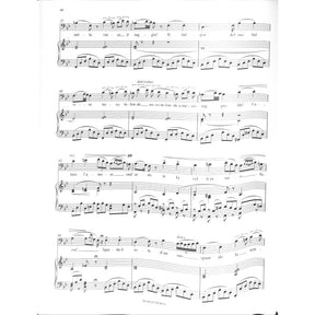 Operaria 2