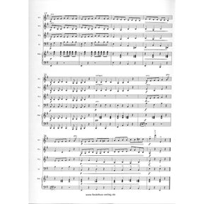Das zauberhafte Fiedelorchester 2