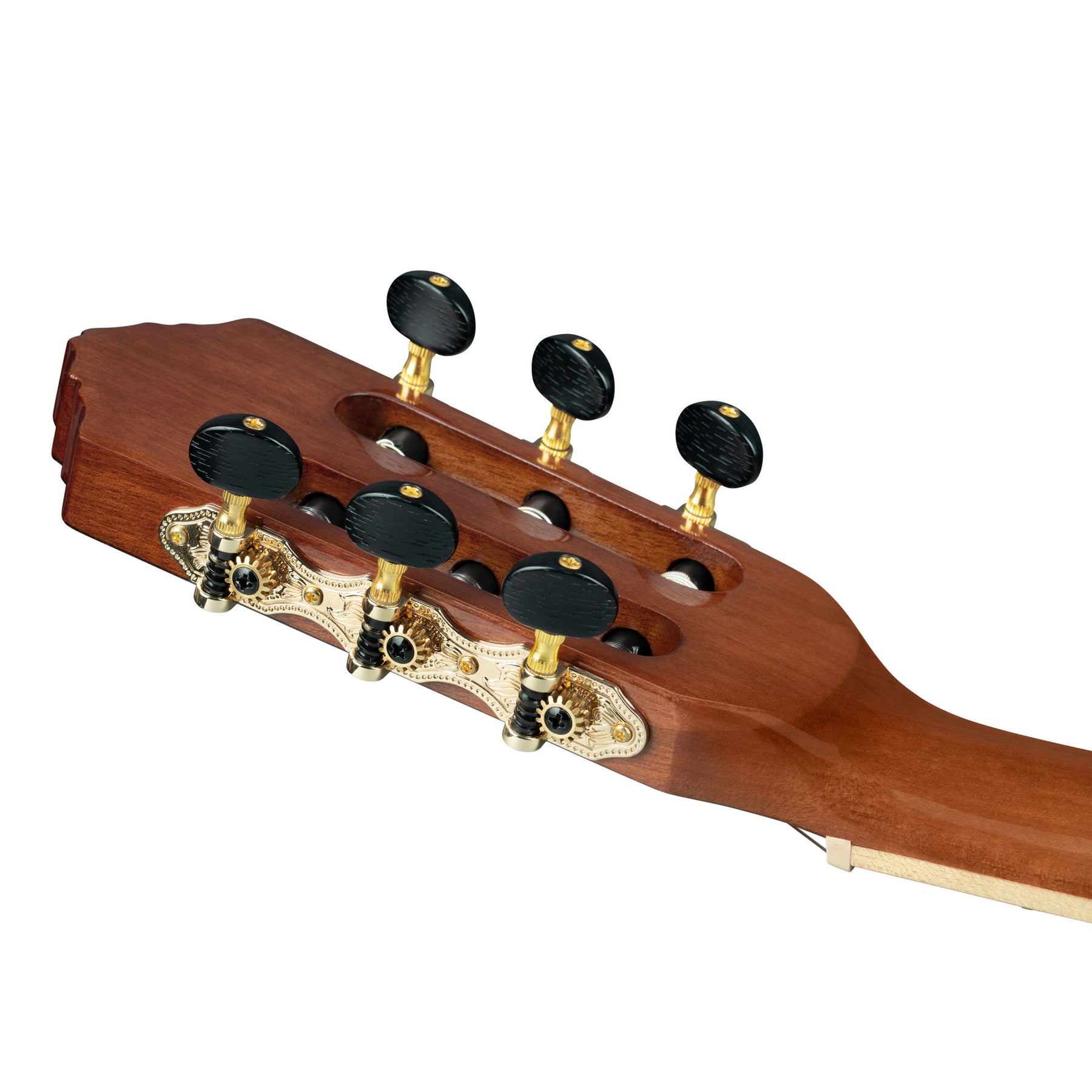 RCE30TH-ACA 4/4 Acacia