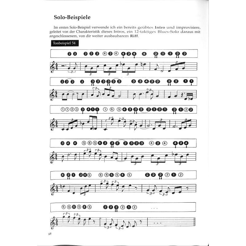 Rock Blues Country Harp