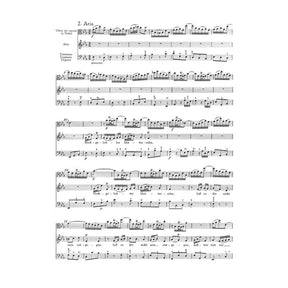 Kantate 6 bleib bei uns denn es will Abend werden BWV 6