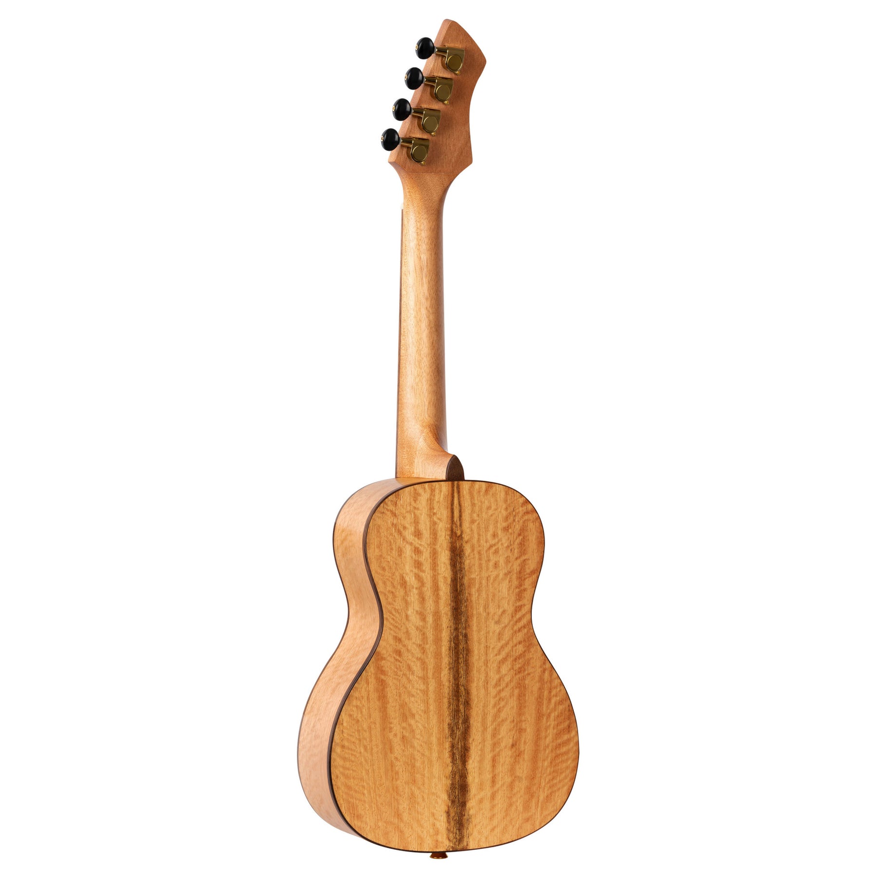 RUMG Konzert Ukulele