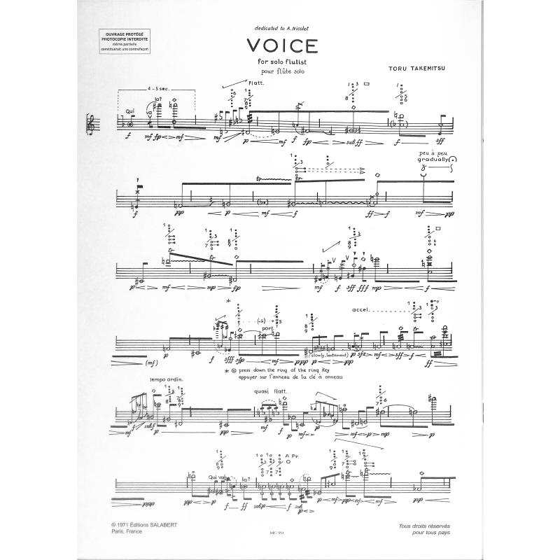 Voice