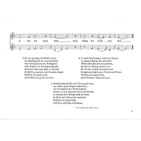 Mitten im kalten Winter