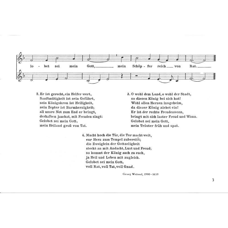 Mitten im kalten Winter