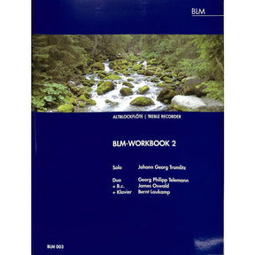 BLM Workbook 2