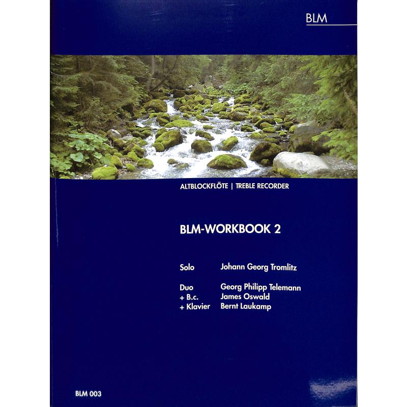 BLM Workbook 2