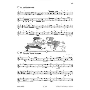 Streifzug durch Irland