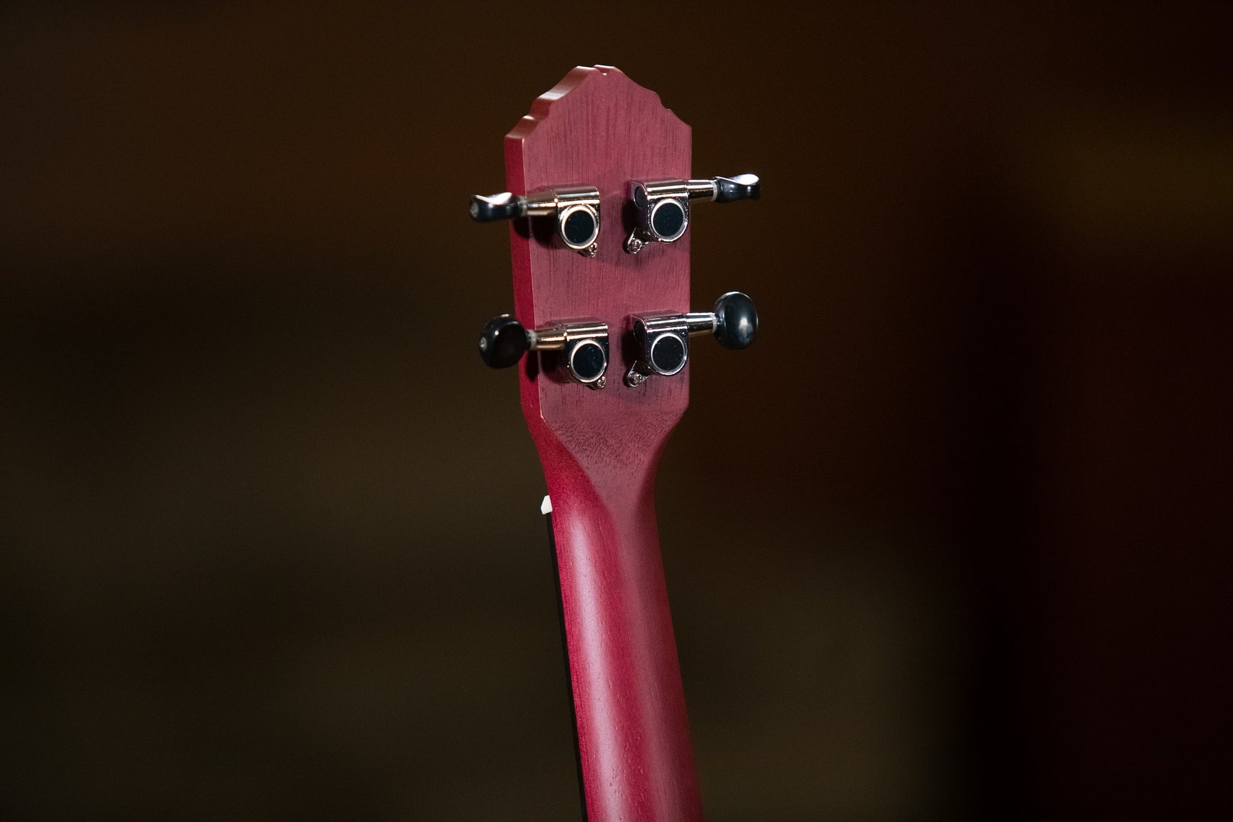 RURUBBY Konzert Ukulele