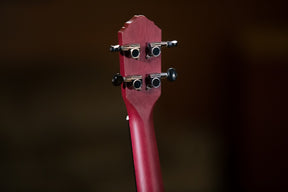 RURUBBY Konzert Ukulele