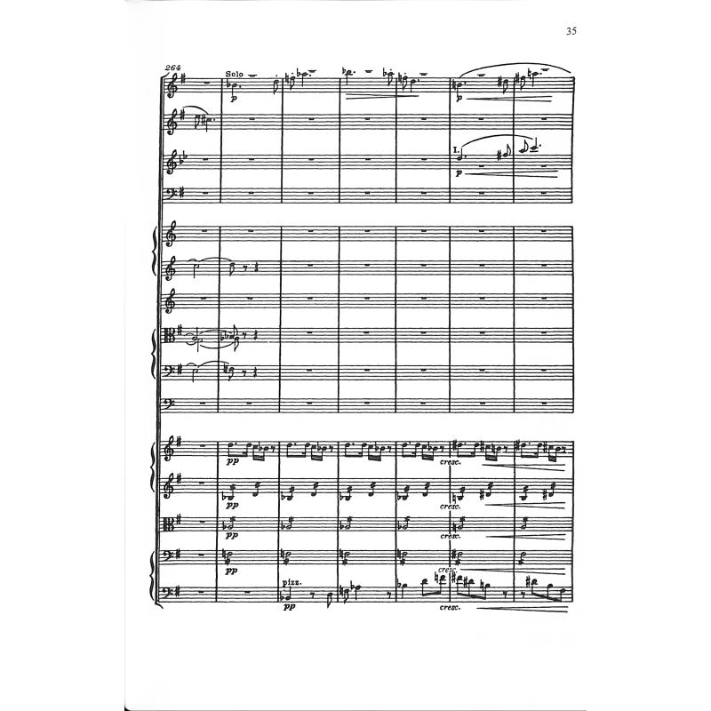 Sinfonie 9 e-moll op 95 (aus der Neuen Welt)