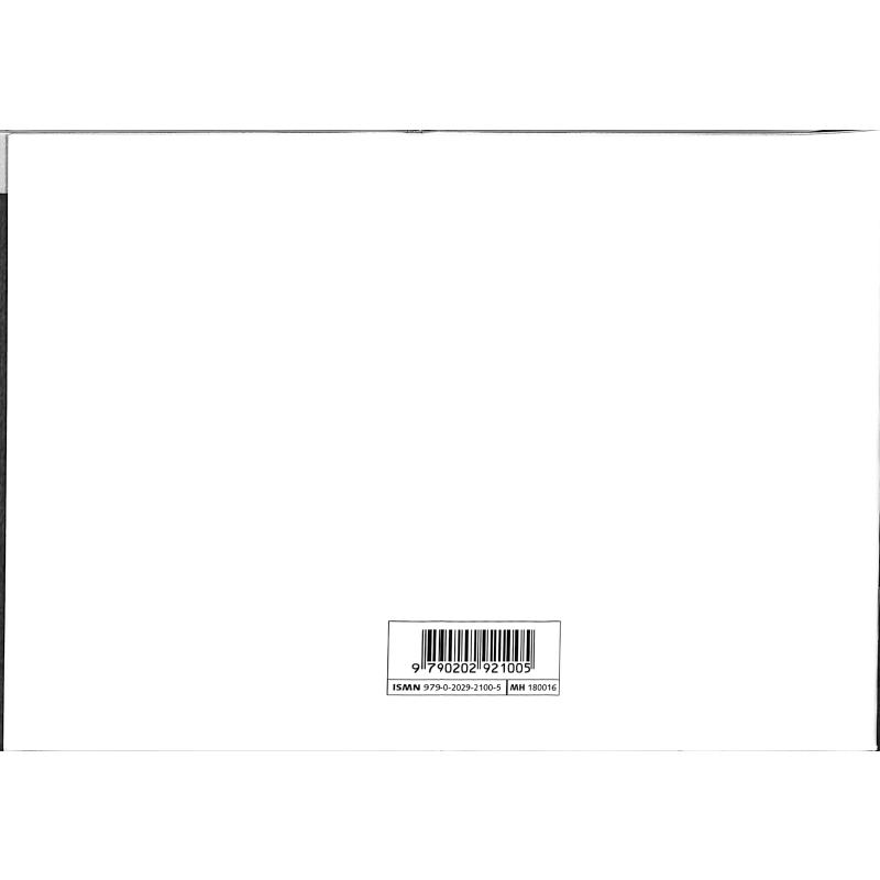 Blues Harp Spielanleitung