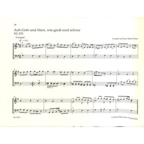 Kleine Choralvorspiele + Begleitsätze zu den Liedern des EG