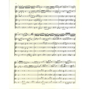 Konzert d-moll BWV 1043