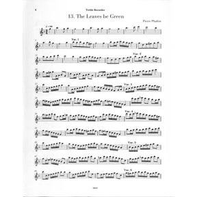 Renaissance recorder