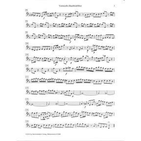 Sinfonia d-moll (Geist und Seele wird verwirret BWV 35)