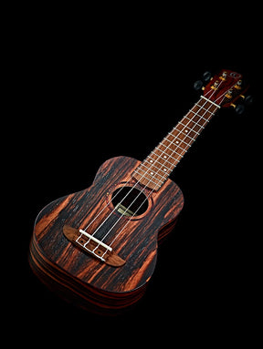 RUEB-CC Konzert Ukulele