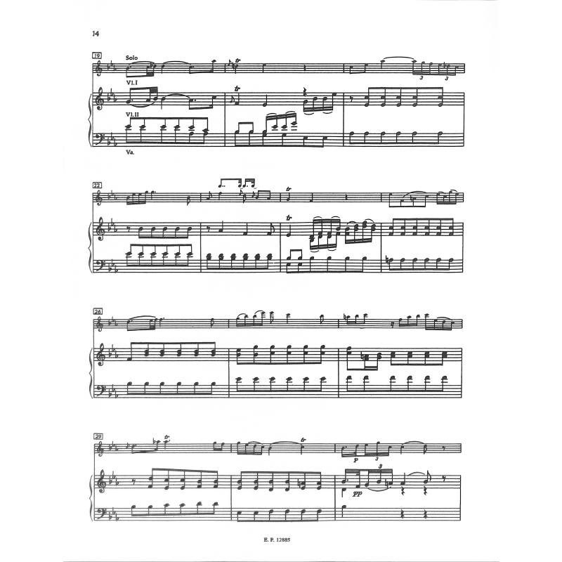 Konzert g-moll