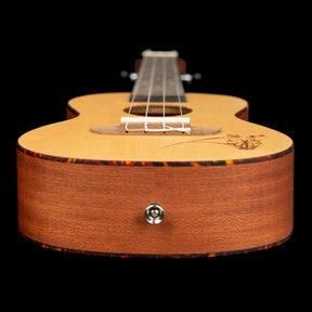 RU5 Konzert Ukelele