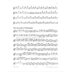 Die Altblockflöte 2