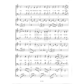 Lenas sang - fly with me