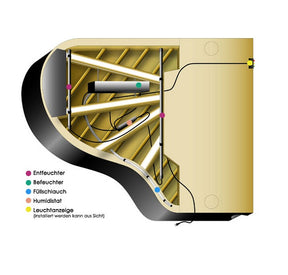 Life Saver 6-teilig FLÜGEL