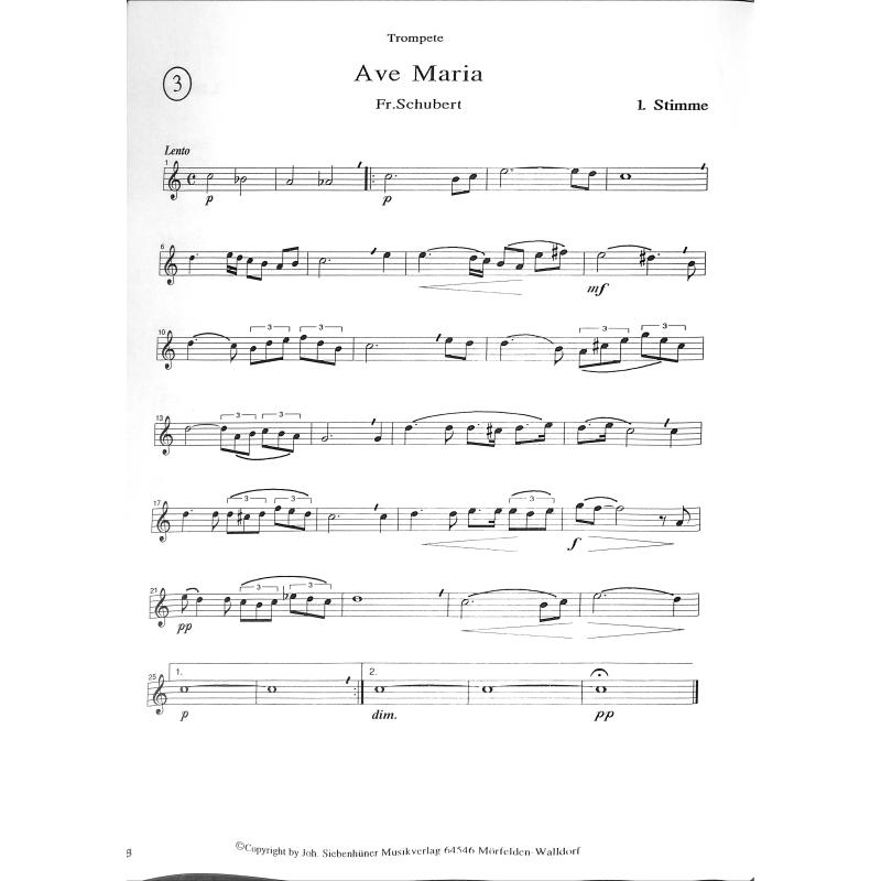 Feierliche Musik für Hochzeit und festliche Anlässe
